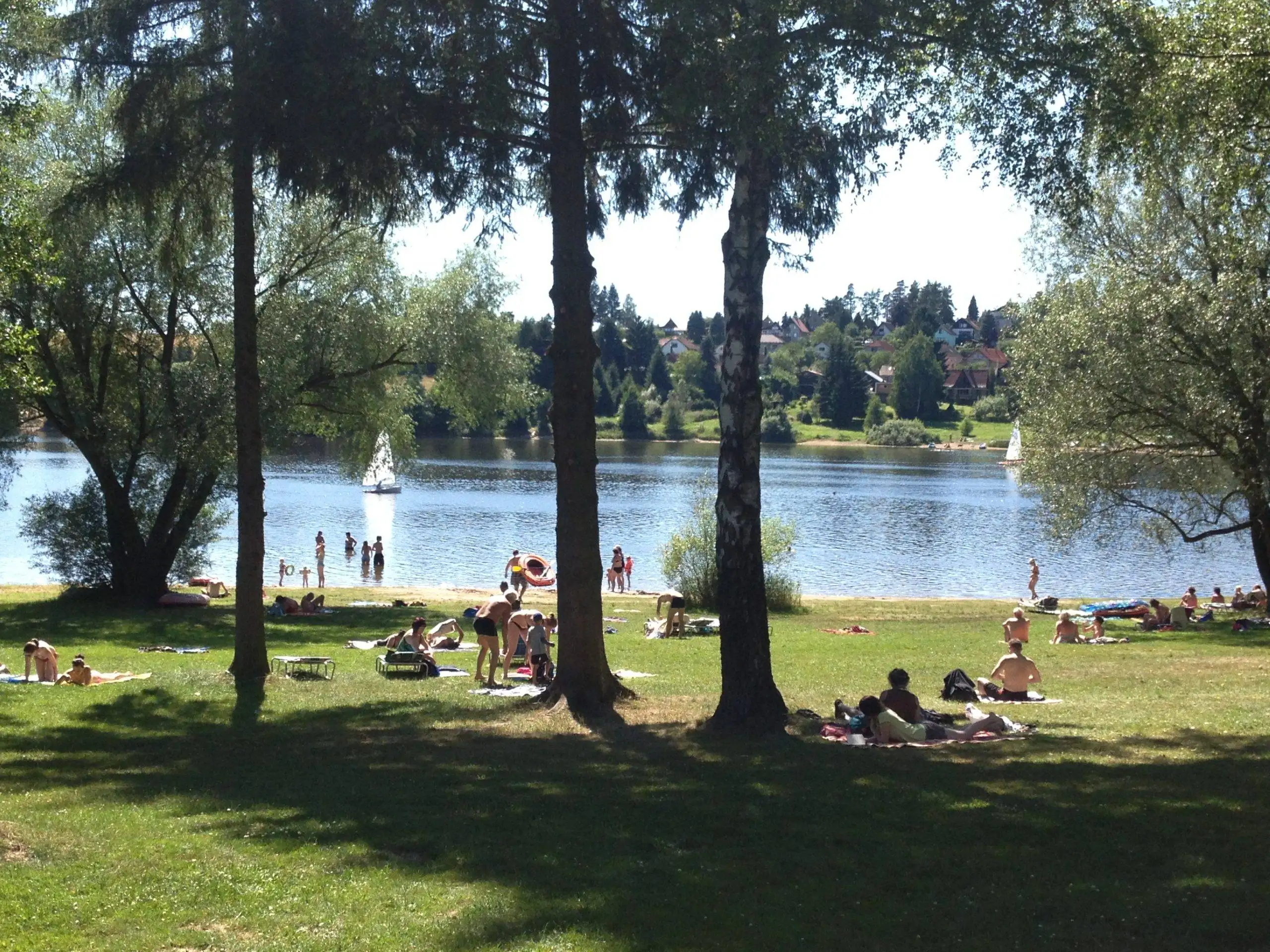 Lake Swimming
