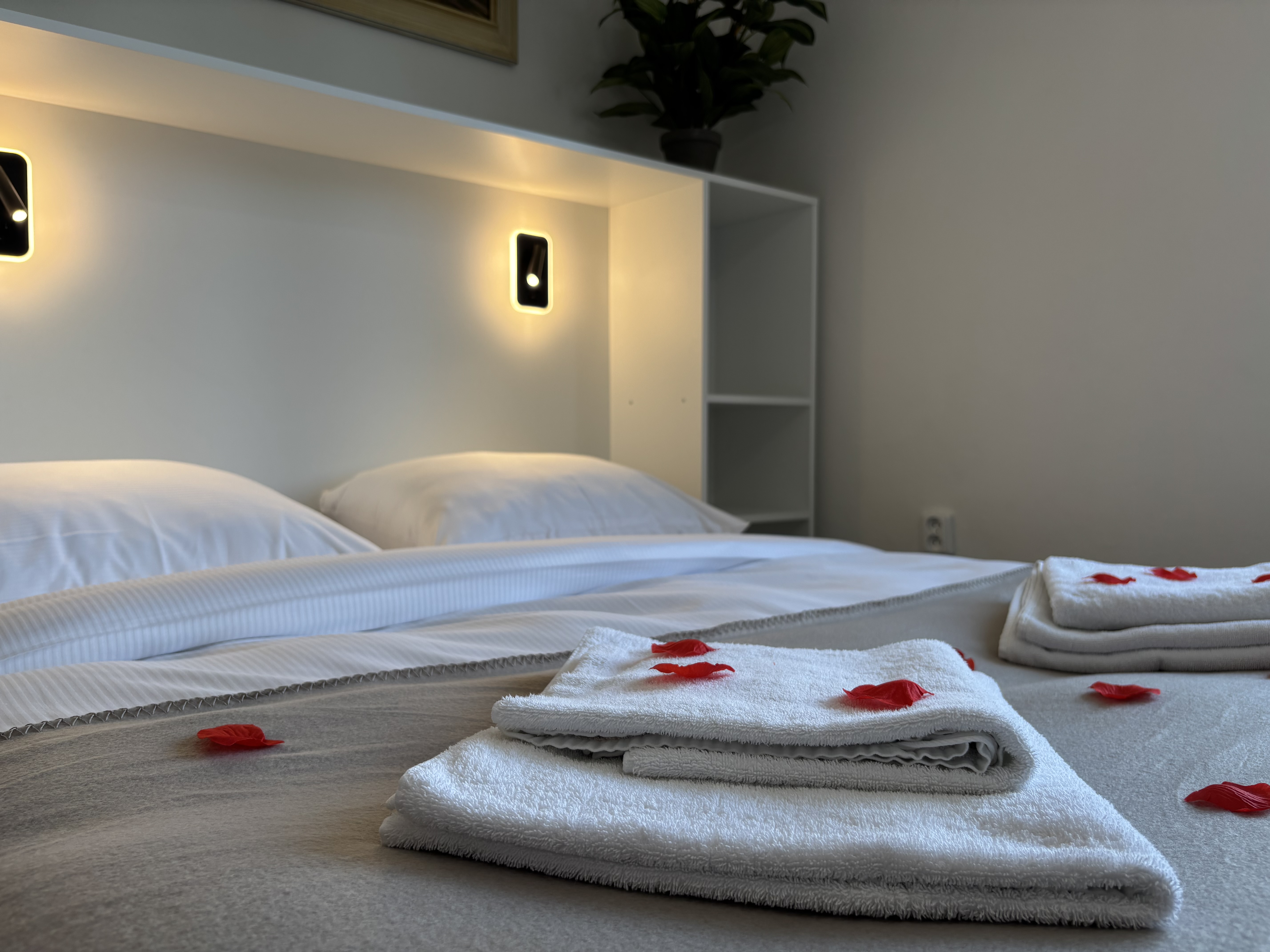 images.alt.room_with_roses