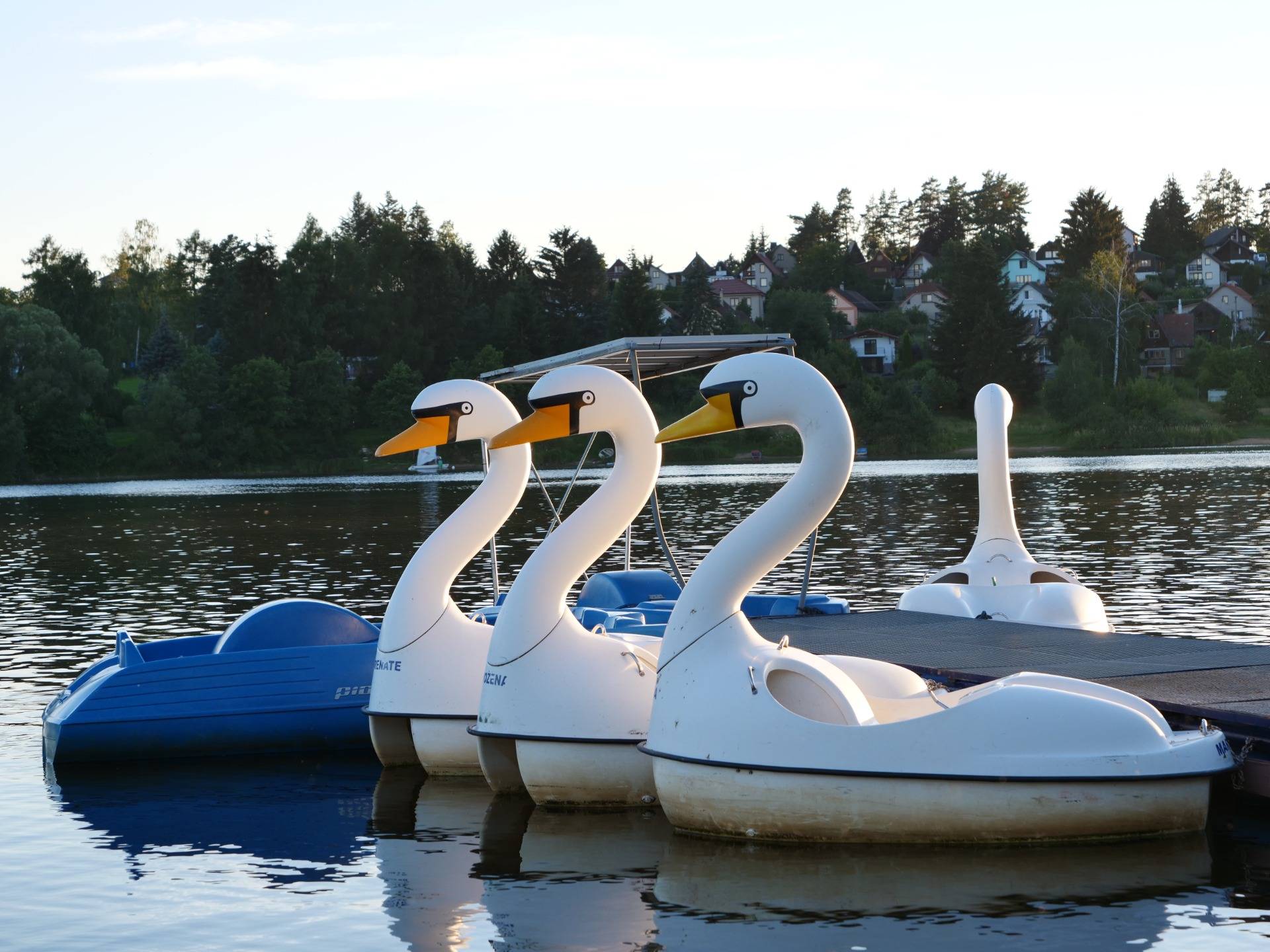 Lake Activities